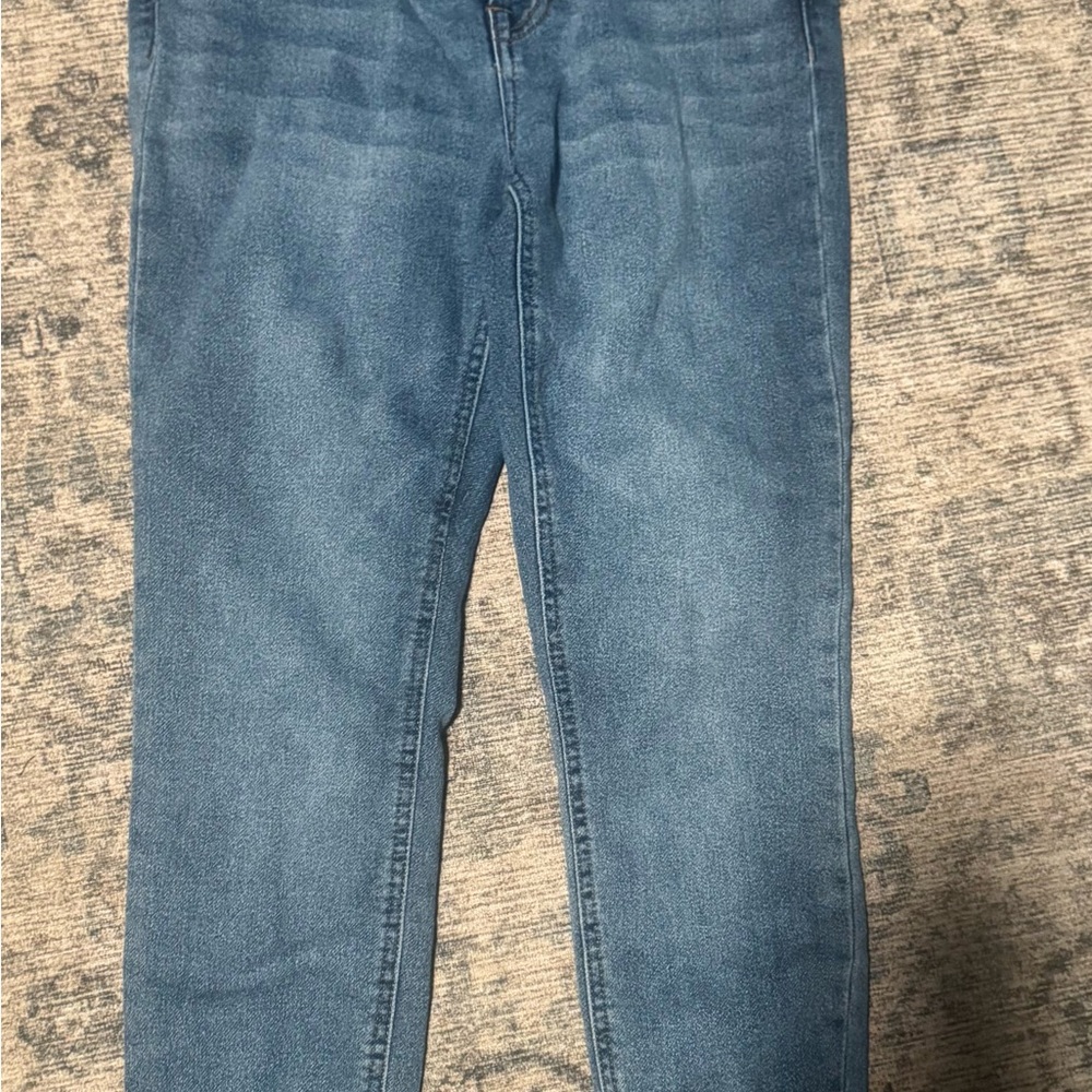 True Craft Blue Skinny Jeans
